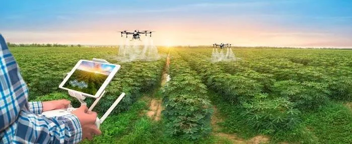 ضرورت اصلاح ساختار بازار برای گذار کشاورزی ایران از بازاری سنتی به بازار دیجیتال