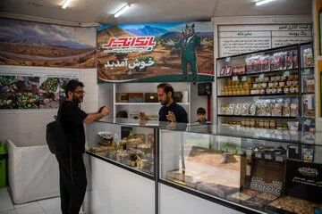 بزرگترین انجیرستان دیم جهان در ایران