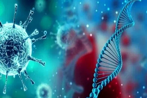 یک متخصص تغذیه: مصرف میزان زیاد پروتئین در بدن باعث افزایش توده عضلانی نمی‌شود