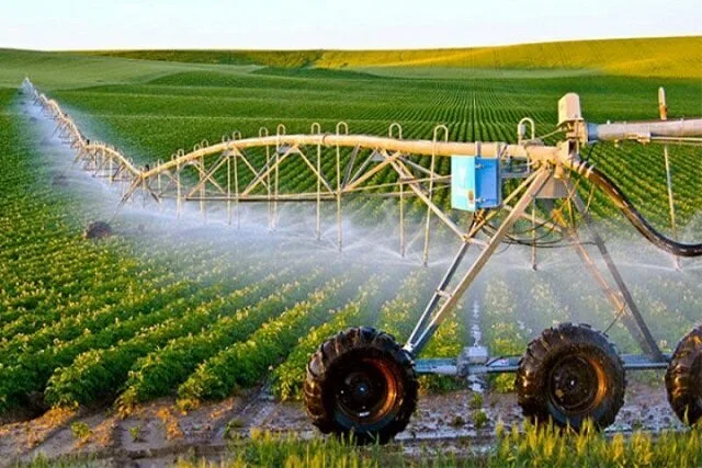 ضرورت اصلاح ساختار بازار برای گذار کشاورزی ایران از بازاری سنتی به بازار دیجیتال