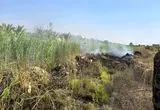 ویدئو؛ آتش‌سوزی در موتور جت بوئینگ ۷۳۷ آمریکا در حین پرواز