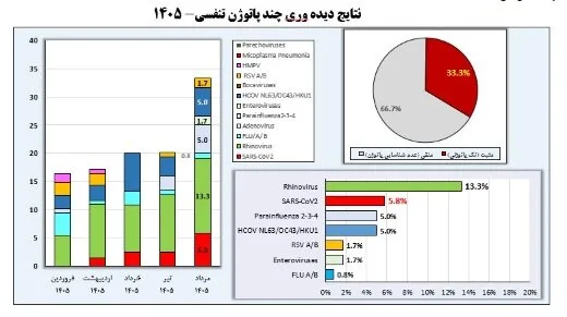 وضعیت آنفلوآنزا در هفته بیستودوم سال/ دو استان بالاتر از آستانه هشدار