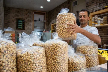  فروش انجیر در بزرگترین انجیرستان دیم جهان در ایران