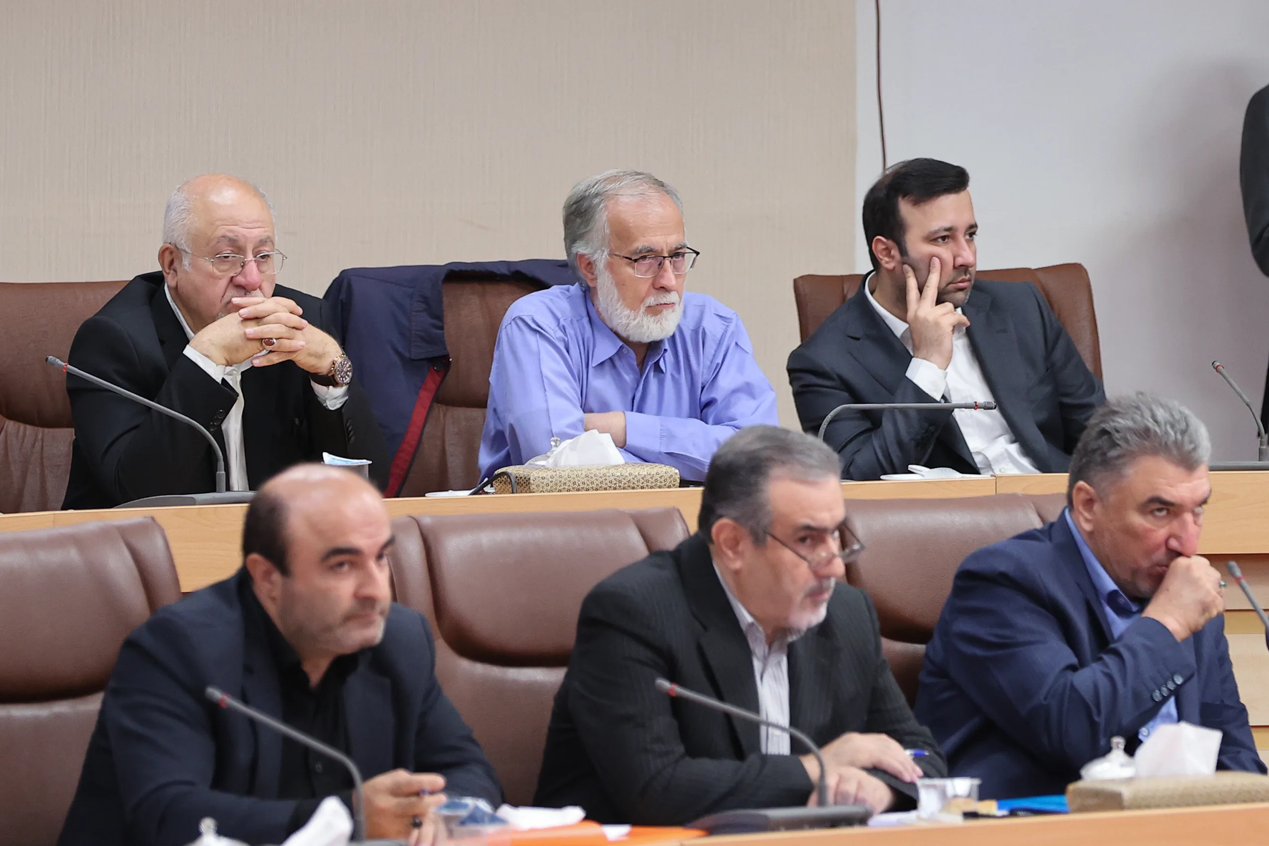 سخنان رئیس جمهور با احزاب چارچوبمند و برخاسته از دغدغهها و علاقهمندیهای قلبی ایشان بود
