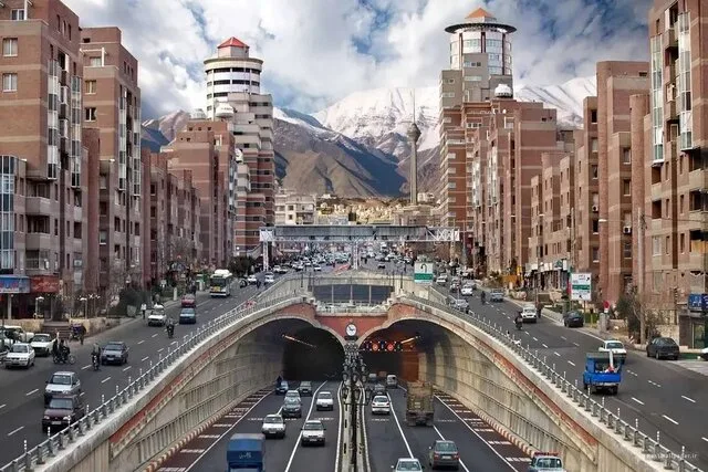 مستاجران در آشیان
