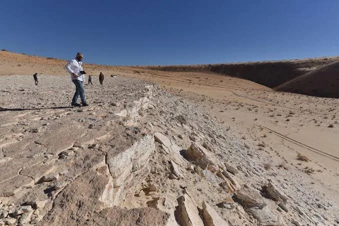 نئاندرتالها