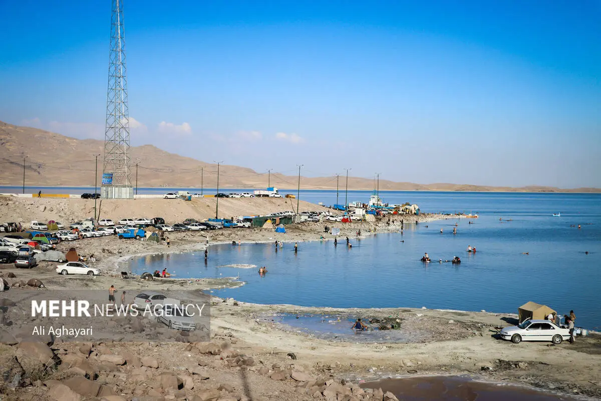 گالری
