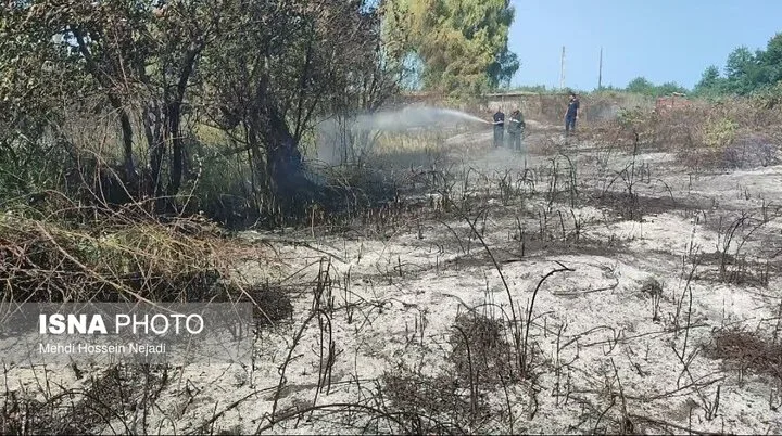 آتش‌سوزی در پناهگاه حیات‌وحش لوندویل مهار شد / سوختن ۷۰ درخت کاج و خسارت به ۲ هکتار