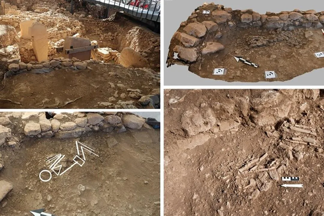 استخوانهای انسانی (Human bones) کشف شده در سایت باستانی گوبکلیتپه (Göbekli Tepe)
