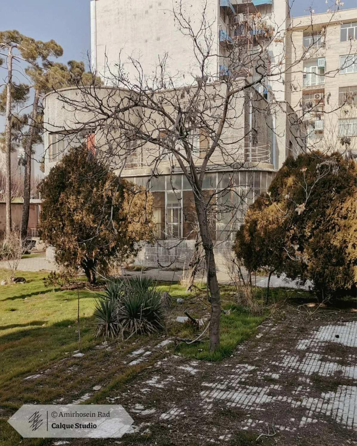 ساختمان مدرن و قدیمی در کوچه ارفع تهران با نمای بتنی و پنجره‌های بزرگ
