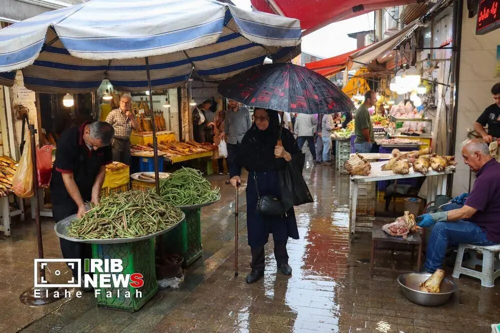 گالری