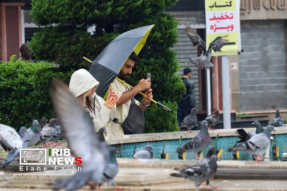 گالری