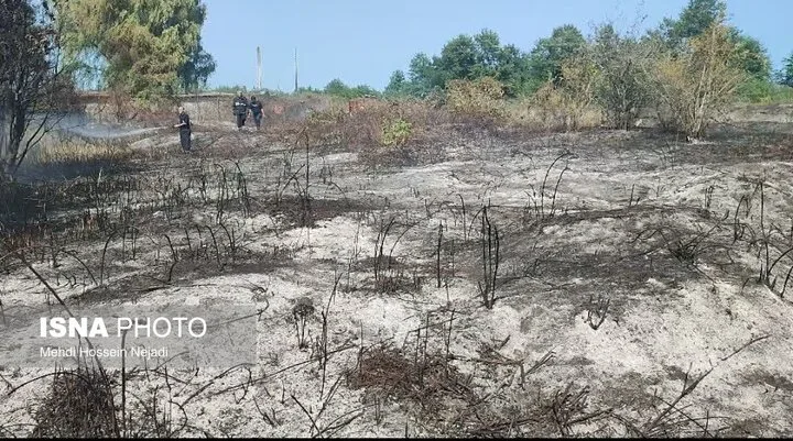 آتش‌سوزی در پناهگاه حیات‌وحش لوندویل مهار شد / سوختن ۷۰ درخت کاج و خسارت به ۲ هکتار