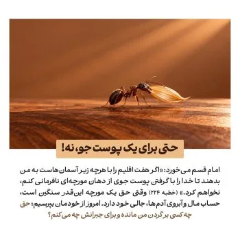حق‌الناس در سیره امیرالمؤمنین(ع)؛ راه رسیدن به خدا از حقوق مردم می‌گذرد