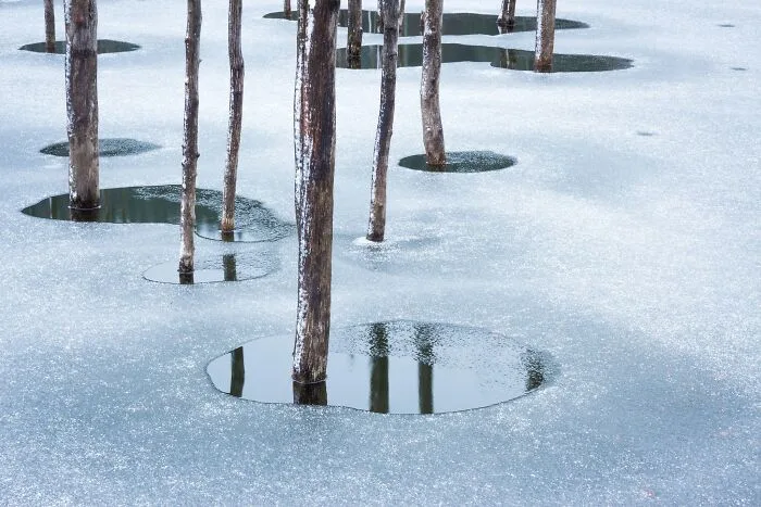 مسابقه عکاسی مناظر طبیعی ۲۰۲۶