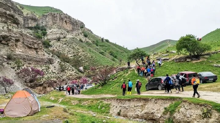 ارزش تندوره در طبیعت بکر و حیات‌وحش آن است/غذای رهاشده گردشگران؛ عامل تغییر رفتار جانوران