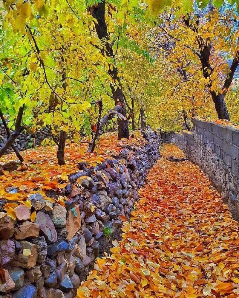 سنگان