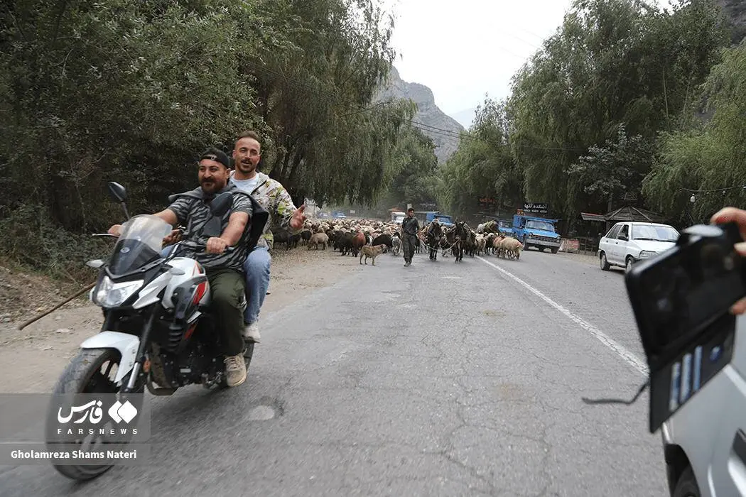 گالری