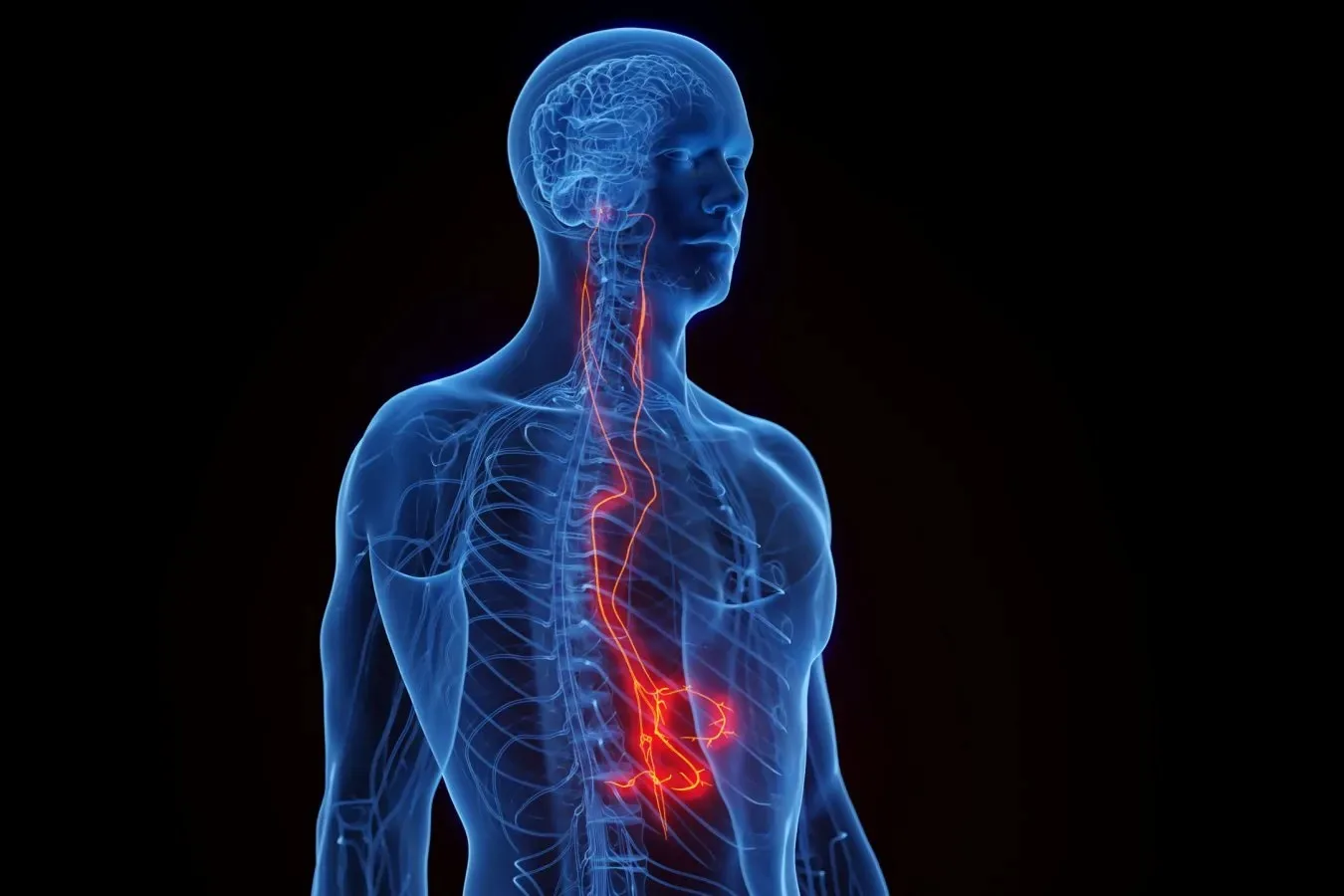 first-spinal-cord-transplant-russia-2.jpg