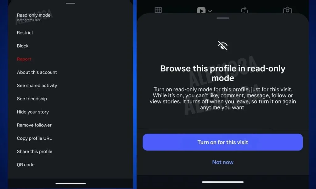 قابلیت آزمایشی اینستاگرام لو رفت / بیسروصدا به پروفایلها سرک بکشید