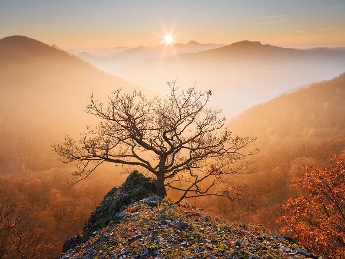 مسابقه عکاسی مناظر طبیعی ۲۰۲۶