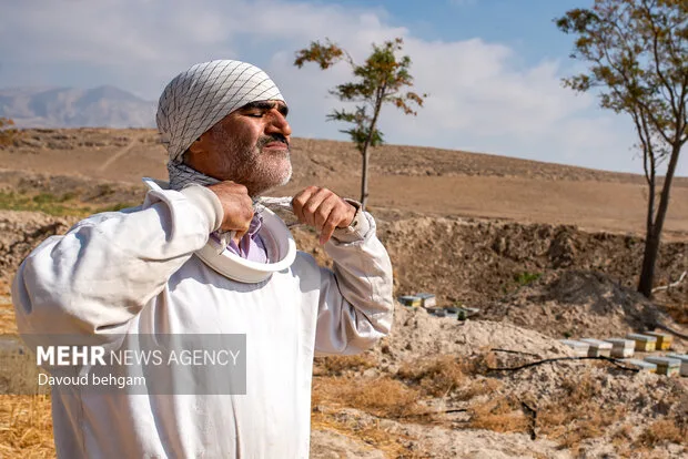 برداشت عسل  در روستای گوارشک خراسان رضوی