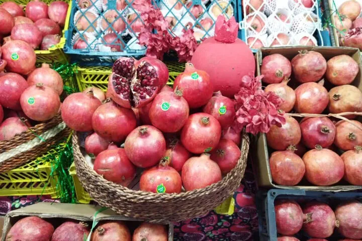 انار نمهیل؛ فرصتی برای رونق گردشگری خلخال