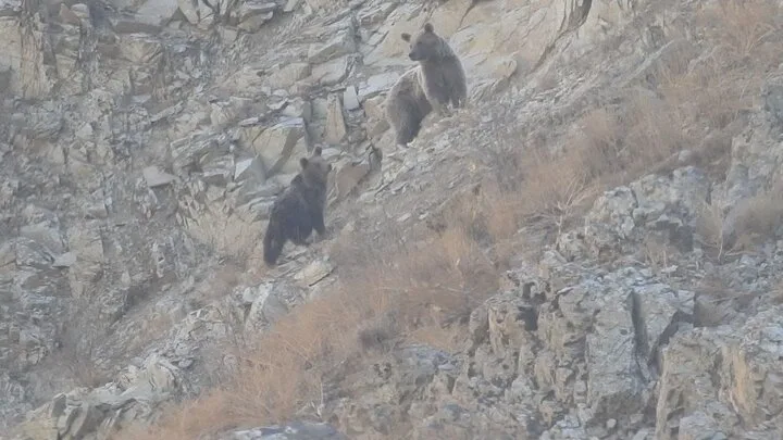 ۴۰ روز دور از خانواده برای نجات خانه طبیعت