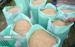 تاخیر در پرداخت مطالبات ارزی واردکنندگان ۱۷ ماهه شد/دولت راهکارهای جایگزین را اجرا کند