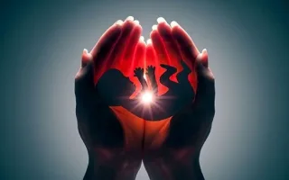 ۸۷۵۸ مجوز سقط قانونی اعطا گردید