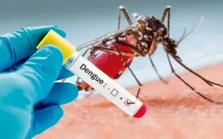 هشدار درباره افزایش شدید تب دنگی در سریلانکا / ثبت ۱۰۰۴ مورد ابتلا در ایران
