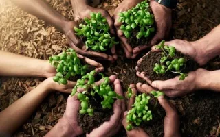 راهبردهای ذخیره‌سازی و تقویت تولید داخلی؛ لازمه اساسی تامین امنیت غذایی کشور