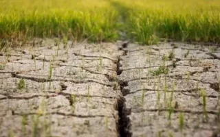 فزایش خطرات گرما برای محصولات زراعی در اروپا در سال آینده