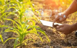 چگونه هوش مصنوعی می‌تواند به حل مشکل کمبود نیروی کار در بخش کشاورزی کمک کند؟