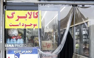 منابع استمرار کالابرگ چقدر است؟ پورمحمدی به مجلس پاسخ داد