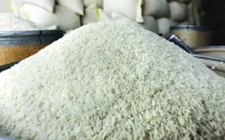 تأخیر در اختصاص ارز، فشار بر اعتبار واردکنندگان کالاهای اساسی را تشدید می‌کند
