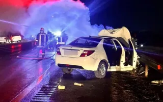تصادف ناگوار سمند سوخت‌بر با خودرو دنا در آزادراه خلیج فارس/ ۳ کشته در محل حادثه