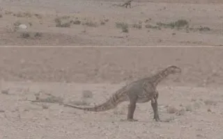 دایناسور خراسان نمادی از یک هشدار است / کافی بودن چشم‌ها کافی نیست؛ چگونه تصویرهای تقلبی را شناسایی کنیم؟