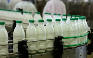 پاسخ سازمان غذا و دارو به اتهام به‌کارگیری محصولات لبنی منقضی شده در صنایع تولیدی
