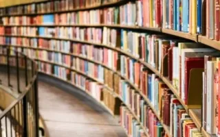 ۱۵ اثر برجسته از رمان‌های آمریکایی؛ شاهکارهایی که حتماً باید مطالعه شوند