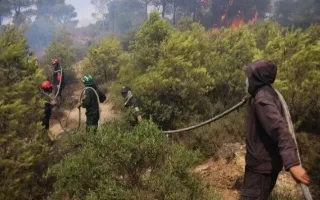 گسترش آتش‌سوزی‌های جنگلی در ۱۶ استان الجزایر در شرایط گرمای شدید