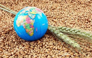وال استریت ژورنال: جهان در آستانه یک بحران غذایی