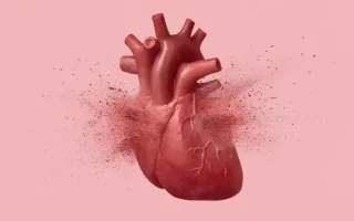 افزایش احتمال بروز نارسایی قلبی به‌علت مصرف مداوم ملاتونین