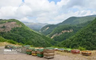 حکایت دلپذیر زنبورداران در اوج ابرهای گردنه حیران