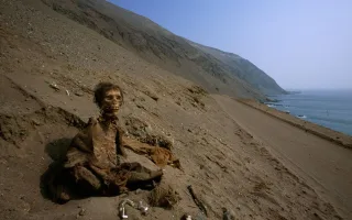 مومیایی‌های شیلی مسیر ورود آبله به آمریکا را نشان دادند