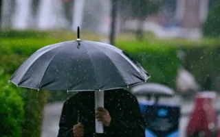 پاییز پربار در راه است؛ یک ال‌نینوی قوی در حال شکل‌گیری