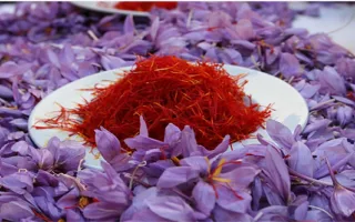 ادامه قاچاق زعفران به خارج از کشور