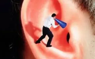 چاره کار ندیدن، نگفتن و ننوشتن نیست