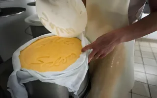 بحران پنهان در سرزمین پنیر؛ گرماهای شدید تولید برجسته‌ترین پنیرها را مختل کرد