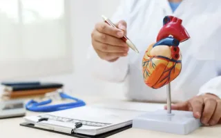 نه دوچرخه ثابت، نه باشگاه، نه پیاده‌روی؛ بهترین ورزش برای سلامت قلب و بهبود گردش خون